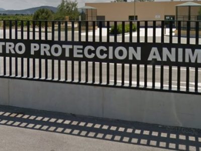 Cambiemos exige que se agilice el pago a la asociación del Centro de Protección Animal
