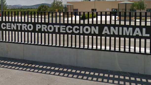 Cambiemos exige que se agilice el pago a la asociación del Centro de Protección Animal