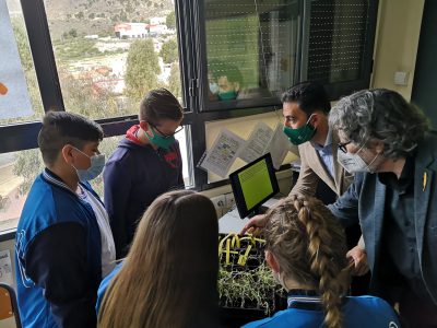 Nacen las primeras palmeras del programa ‘El futuro del Palmeral, en tus manos’