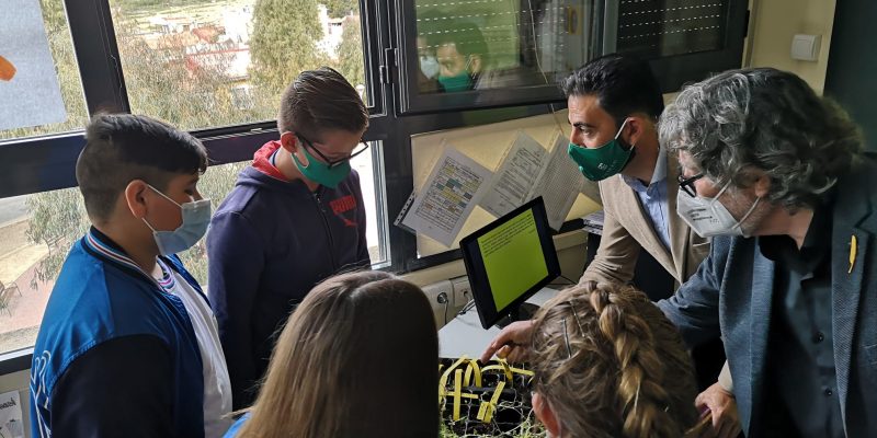 Nacen las primeras palmeras del programa ‘El futuro del Palmeral, en tus manos’