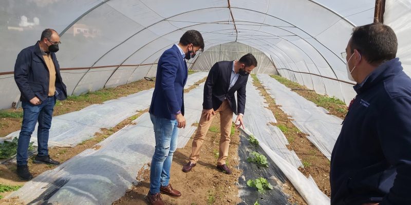 El Ayuntamiento de Orihuela apoya los proyectos ecológicos del C.D. San José Obrero