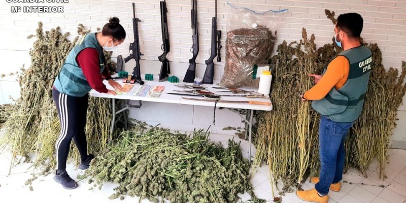 La Guardia Civil desarticula un clan que se dedicaba al cultivo y venta de droga en Redován