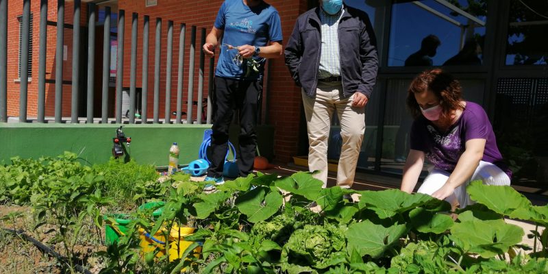 El edil de Agricultura de Orihuela visita el huerto escolar del CEIP de Torremendo