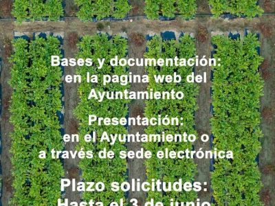 San Isidro abre el plazo de solicitudes para el uso de huertos urbanos