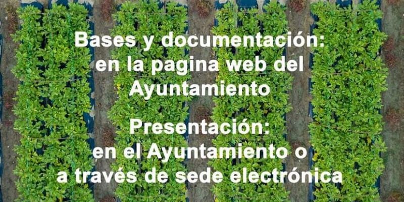 San Isidro abre el plazo de solicitudes para el uso de huertos urbanos