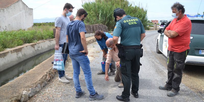 Los Juzgados de Aguas de Rojales y Guardamar denuncian un vertido de aguas azuladas