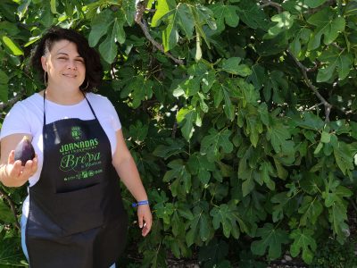 Presentan las III Jornadas Gastronómicas de la Breva de Albatera