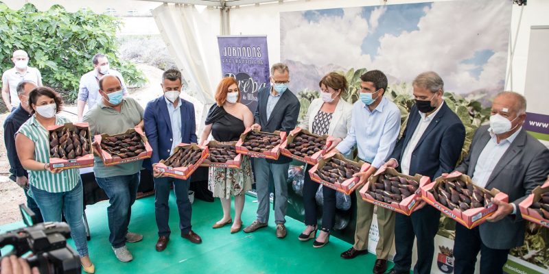 Albatera inaugura la temporada de su producto estrella: la breva