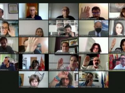 Orihuela aprueba por unanimidad la ordenanza de protección de la palmera datilera