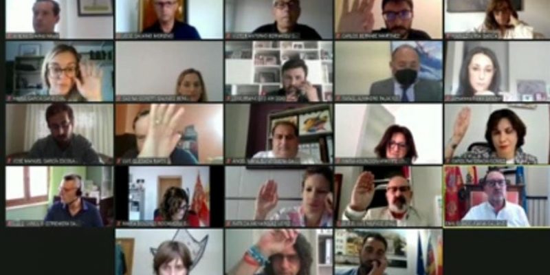 Orihuela aprueba por unanimidad la ordenanza de protección de la palmera datilera