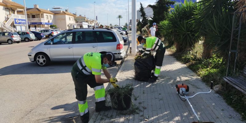 Orihuela refuerza el desbroce y la limpieza de calles en su costa