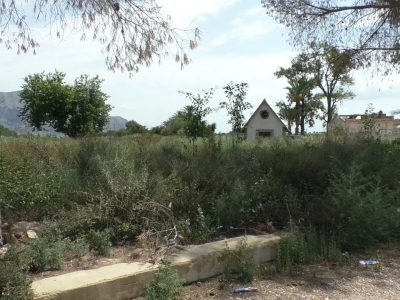 El PSOE critica la falta de cuidados de los Sotos del río cedidos a Orihuela