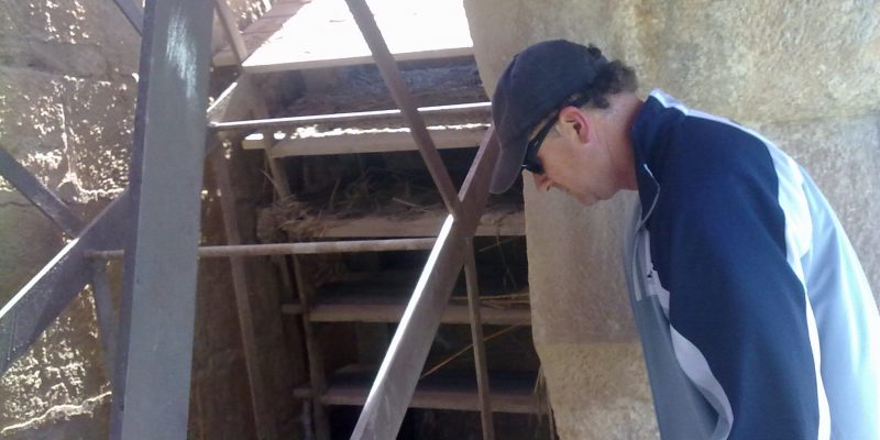 Orihuela ve más cerca la recuperación de las Norias Gemelas