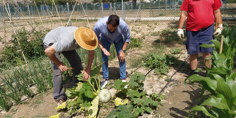 Orihuela abre el plazo de solicitudes para el uso de sus huertos ecológicos