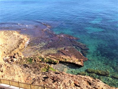 El Instituto de Ecología Litoral destaca la calidad de las aguas del litoral de Orihuela