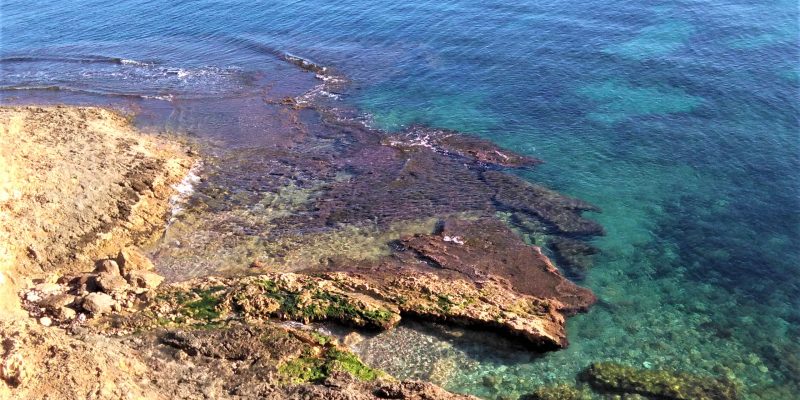 El Instituto de Ecología Litoral destaca la calidad de las aguas del litoral de Orihuela