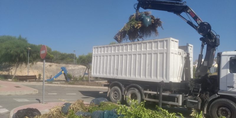 Orihuela prorroga la dotación de caminones para la recogida de podas