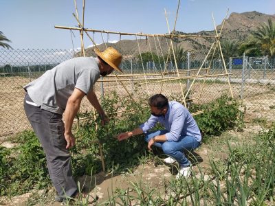 La Diputación concede dos subvenciones para los Huertos Urbanos de Orihuela