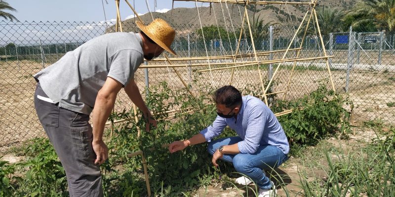 La Diputación concede dos subvenciones para los Huertos Urbanos de Orihuela