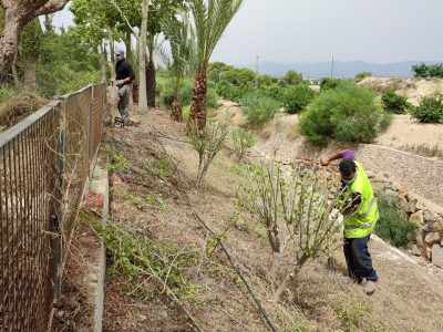 Benejúzar consigue más de 67.0000 euros para contratar a 10 trabajadores