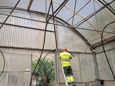 Rehabilitan el invernadero municipal del Palmeral de Orihuela