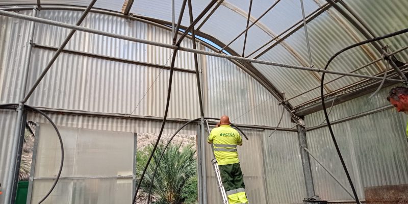 Rehabilitan el invernadero municipal del Palmeral de Orihuela