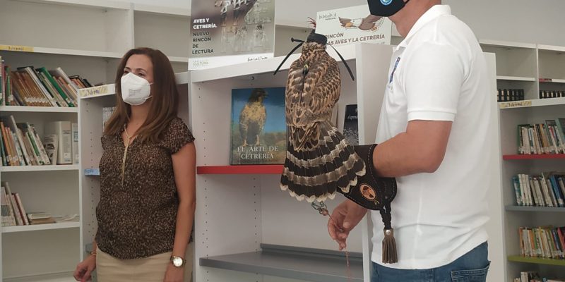Benejúzar habilita un espacio dedicado a las aves y la cetrería
