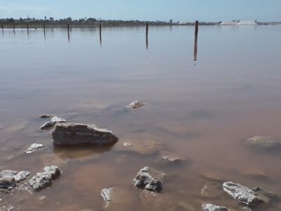 La FGUA visita la Laguna Rosa de las Salinas de Torrevieja