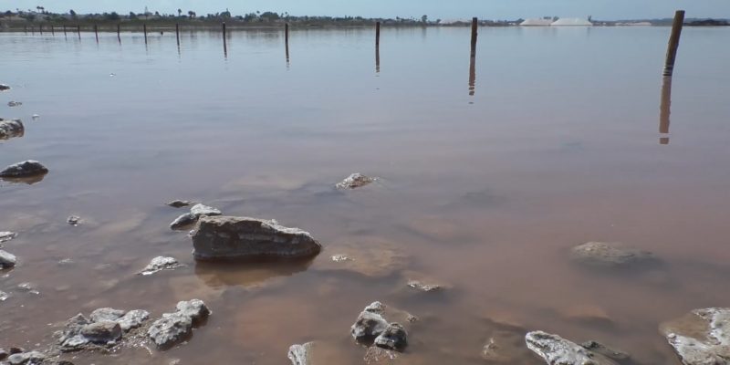 La FGUA visita la Laguna Rosa de las Salinas de Torrevieja