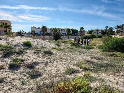 Orihuela inicia actuaciones para conservar los ecosistemas dunares