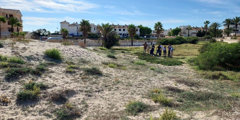 Orihuela inicia actuaciones para conservar los ecosistemas dunares