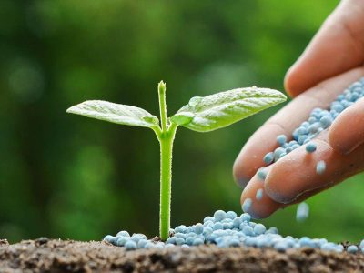 La Unió solicita medidas urgentes al encarecimiento de los costes de producción en el campo