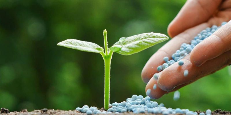 La Unió solicita medidas urgentes al encarecimiento de los costes de producción en el campo