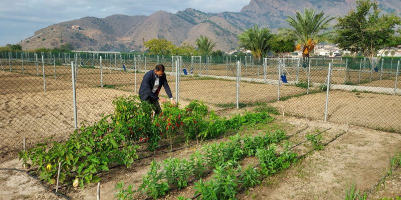 Comienza la formación de los usuarios de los huertos urbanos de Orihuela
