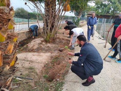 Orihuela planta un reservorio de plantas aromáticas en el perímetro de los huertos urbanos