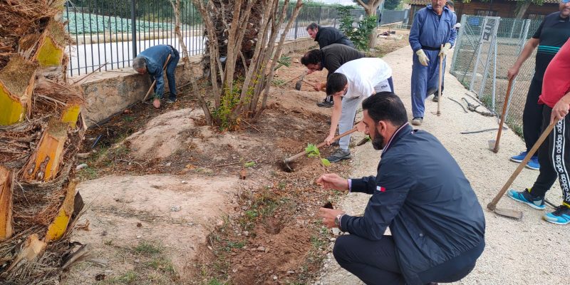 Orihuela planta un reservorio de plantas aromáticas en el perímetro de los huertos urbanos
