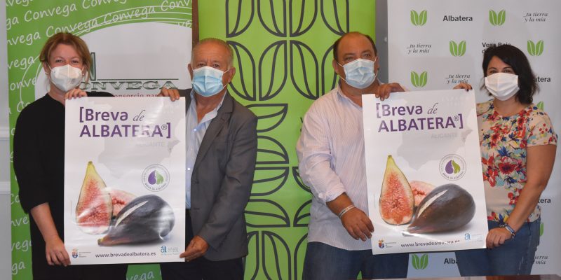 La Asociación de Productores de Breva de Albatera promoverá la marca territorio de la Vega Baja