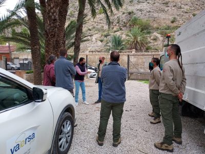 Red Natura comienza a erradicar especies invasoras de la Sierra de Orihuela