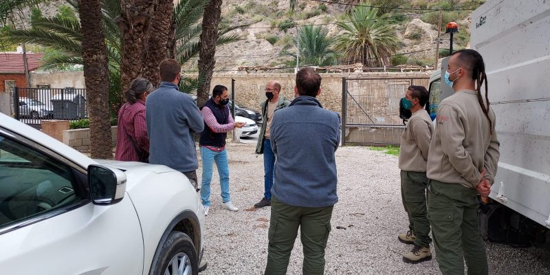 Red Natura comienza a erradicar especies invasoras de la Sierra de Orihuela