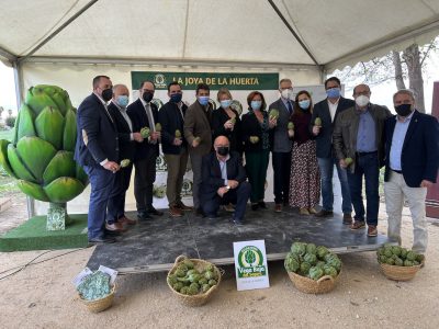 La Vega Baja inaugura la temporada la temporada de alcachofas