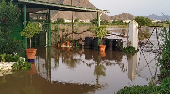 El PSOE denuncia la pérdida de ayudas de la DANA en Callosa de Segura
