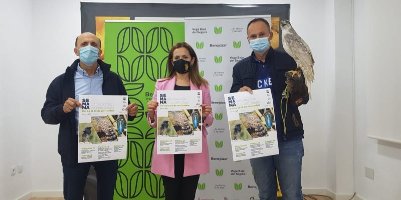 Benejúzar celebra el Día Mundial de la Cetrería con diversas acciones