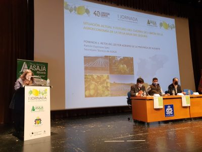 La Diputación anuncia que Orihuela será la sede de la “Casa del Limón de la Vega Baja”