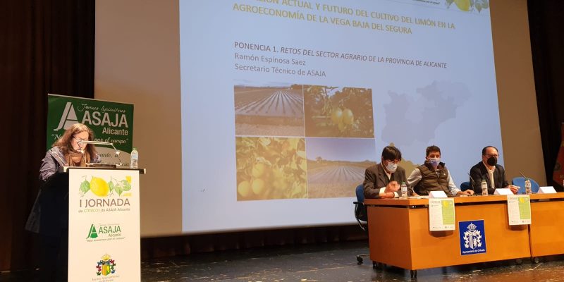 La Diputación anuncia que Orihuela será la sede de la “Casa del Limón de la Vega Baja”