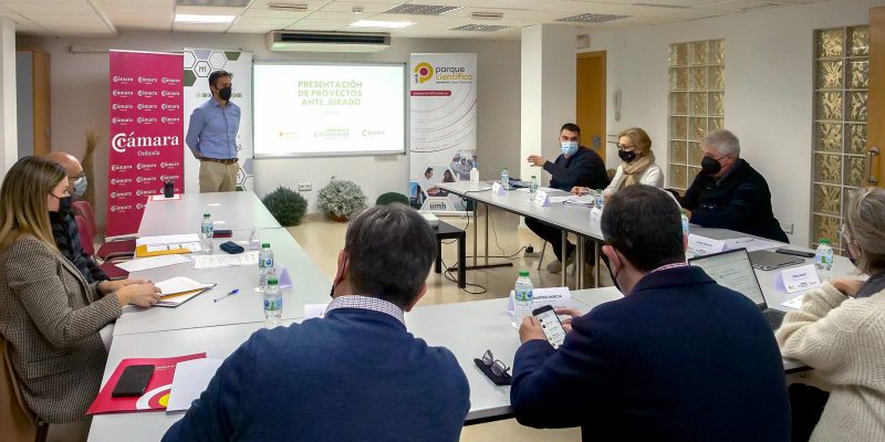 Ya se conocen los ganadores del III Programa Orihuela Emprende