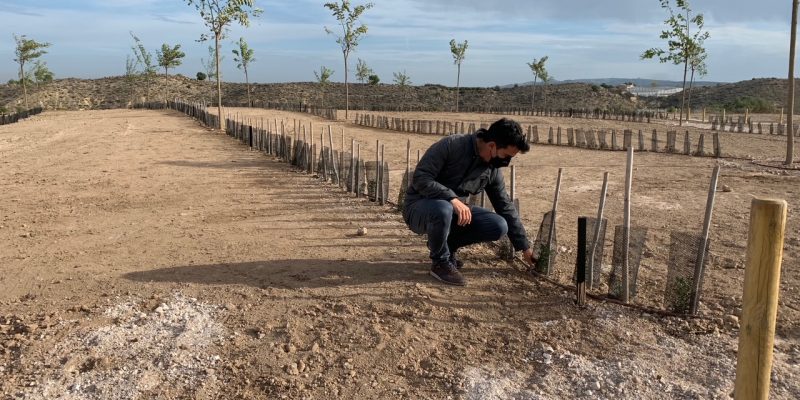 Bigastro finaliza una nueva fase de reucuperación de la antigua escombrera