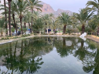 Terminan las obras de la balsa de riego tradicional en el Palmeral de Orihuela