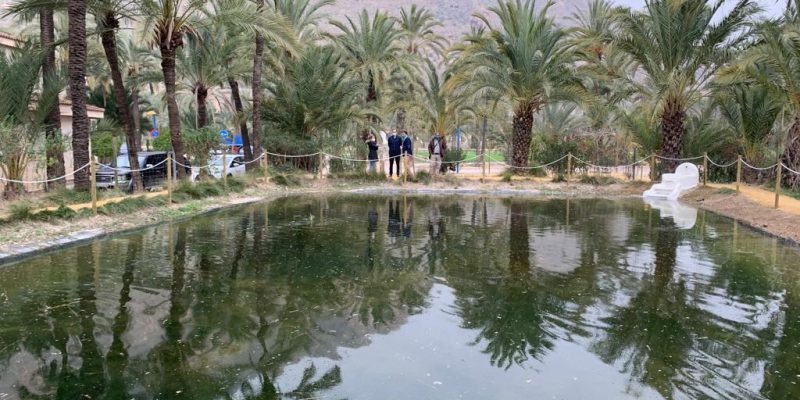 Terminan las obras de la balsa de riego tradicional en el Palmeral de Orihuela
