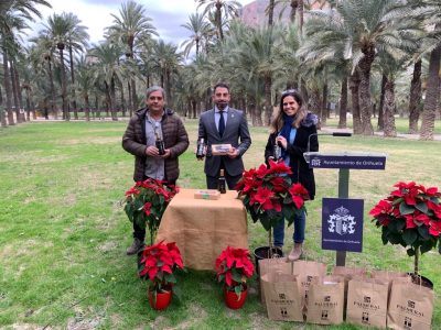 El Palmeral de Orihuela obtiene dos variedades de dátiles autóctonos 'excepcionales'