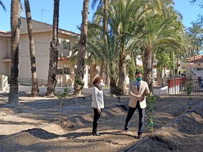 Aprobadas las subvenciones en materia de medio ambiente urbano en Orihuela